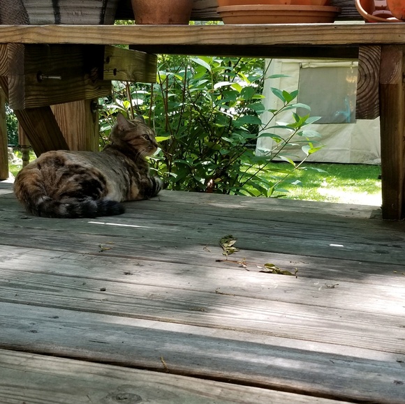 Meet your Posher, Nicholas - Picture 1 of 1